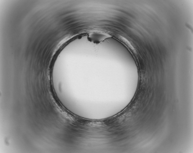 X0000095881133200802011038