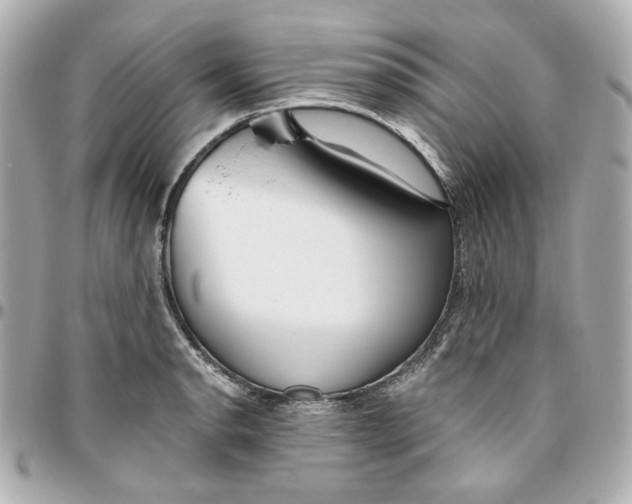 X0000095881134200802011038