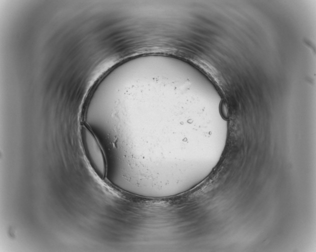 X0000095881135200802011038