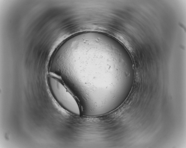 X0000095881136200802011038