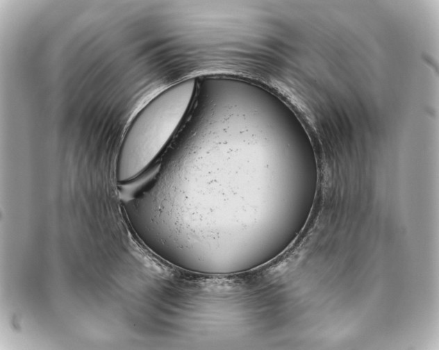 X0000095881137200802011038