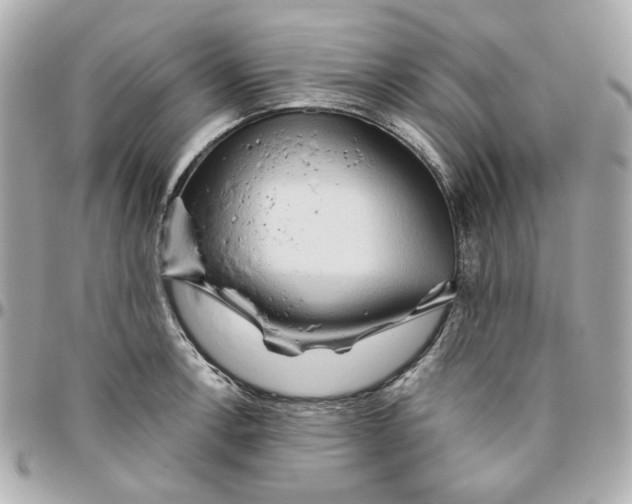 X0000095881138200802011038