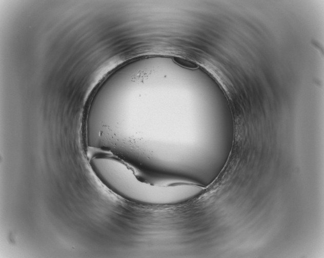 X0000095881139200802011038