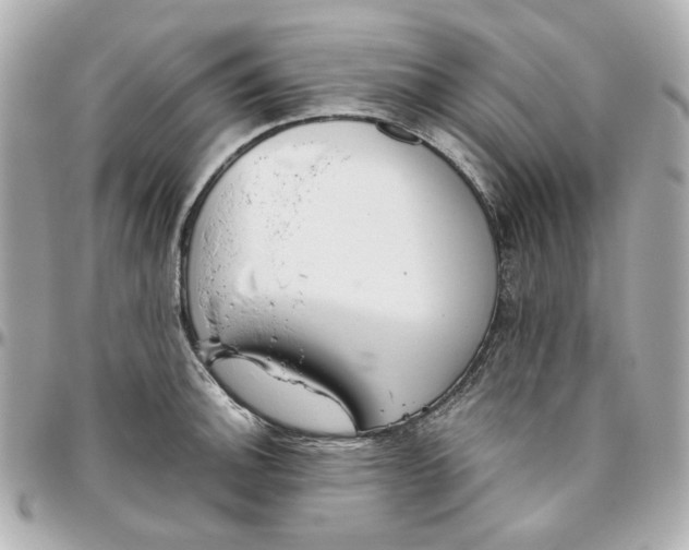 X0000095881140200802011038