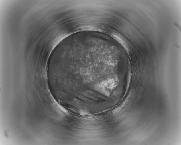 X0000095881141200802011038