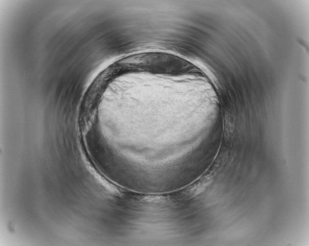 X0000095881142200802011038