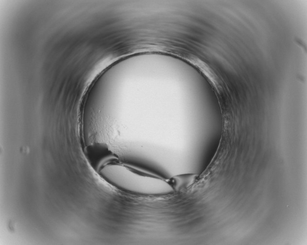 X0000095881143200802011038