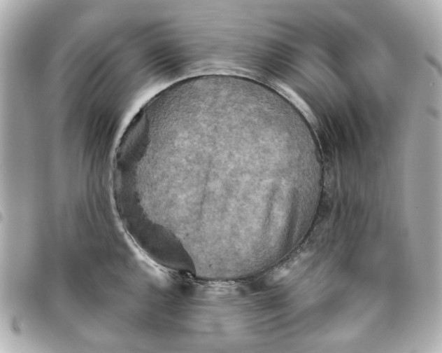 X0000095881144200802011038