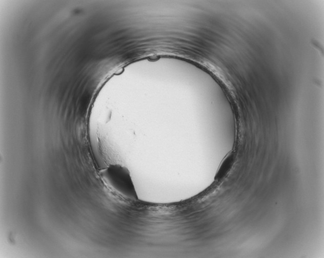 X0000095881145200802011038