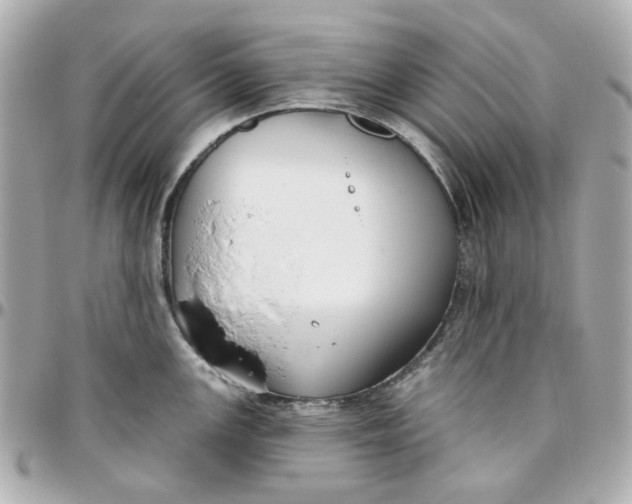 X0000095881147200802011038