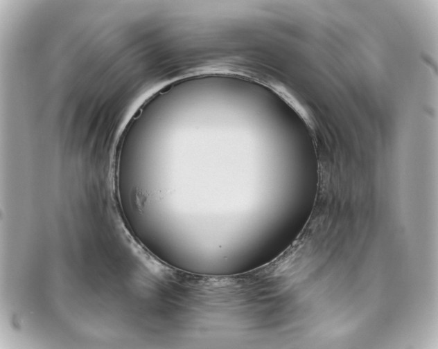 X0000095881148200802011038