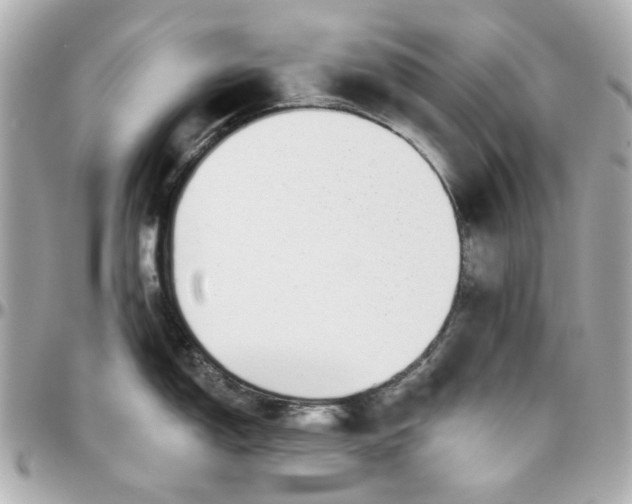 X0000095881150200802011038