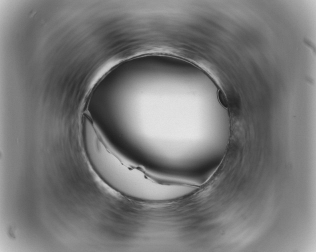 X0000095881151200802011038