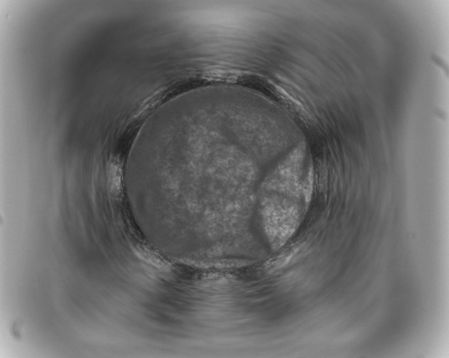 X0000095881154200802011037