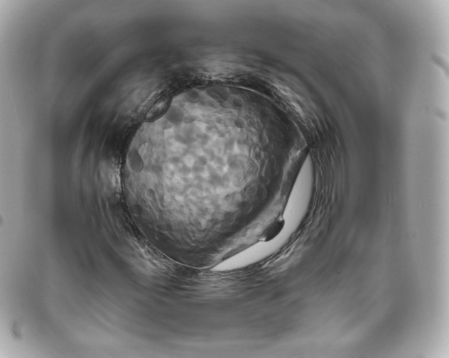 X0000095881155200802011037