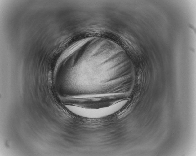 X0000095881156200802011037