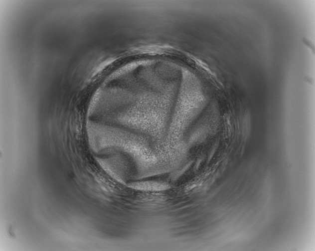 X0000095881158200802011037