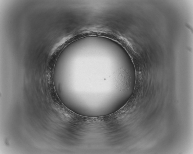 X0000095881159200802011037