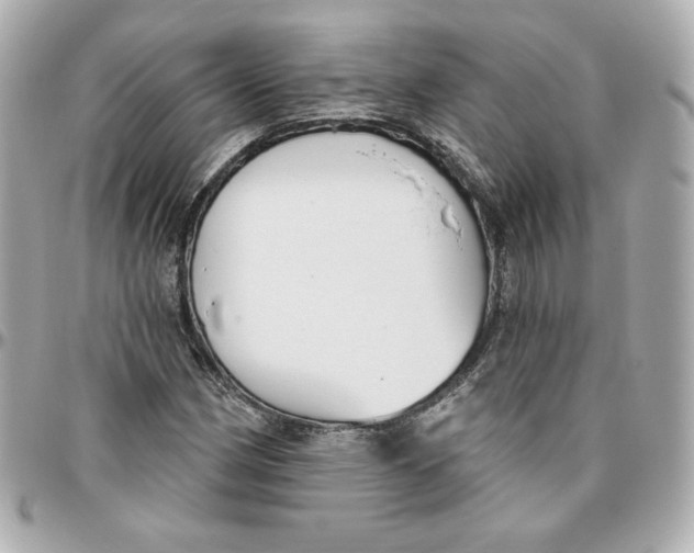 X0000095881162200802011037