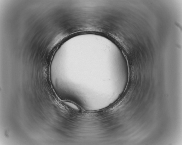 X0000095881163200802011037