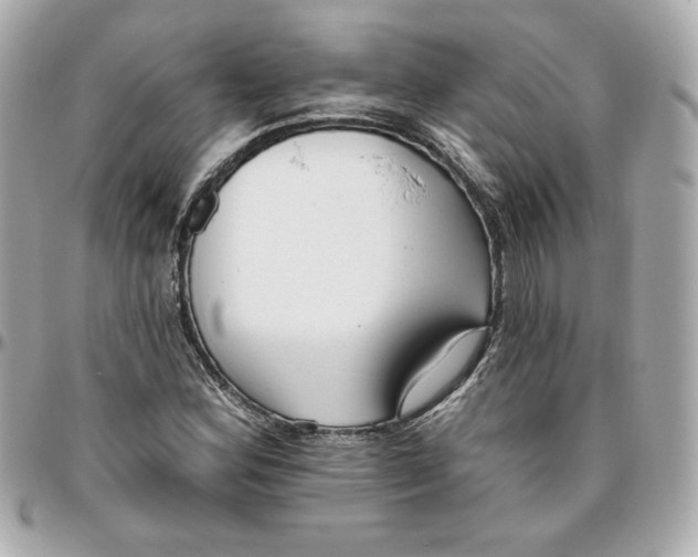 X0000095881164200802011037