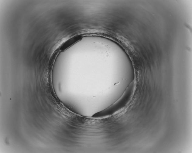 X0000095881165200802011037