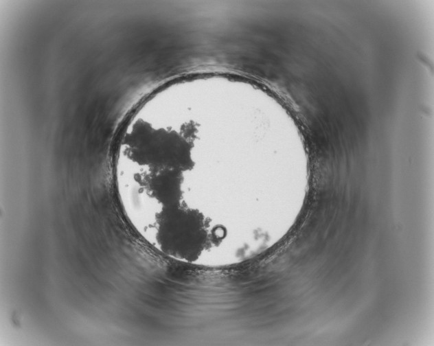 X0000095881167200802011037