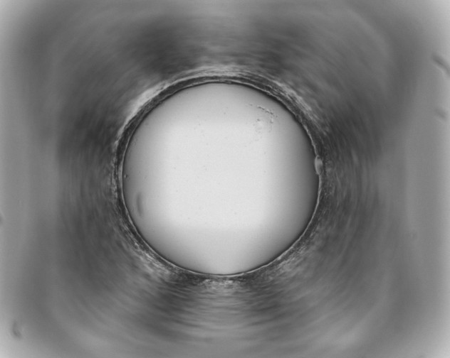 X0000095881168200802011037