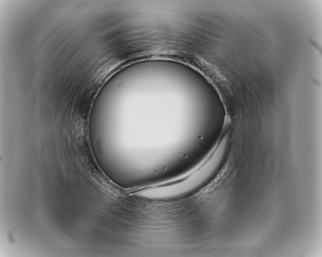 X0000095881169200802011037