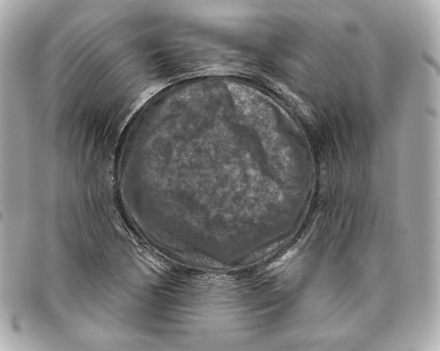 X0000095881170200802011037