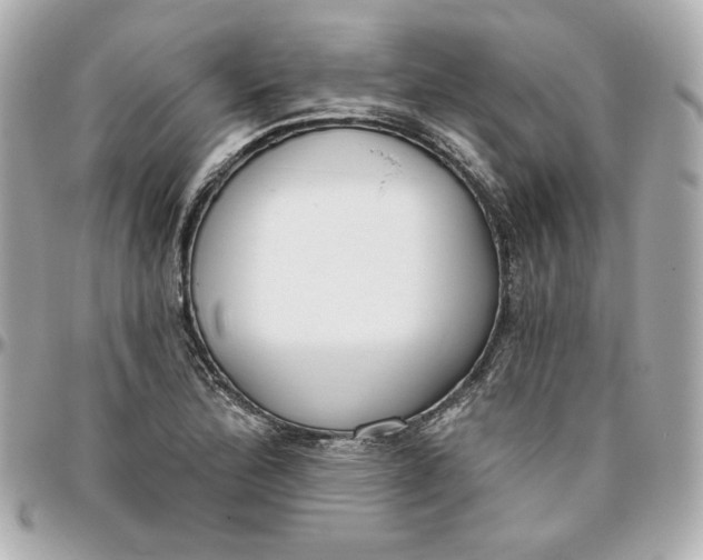 X0000095881172200802011037