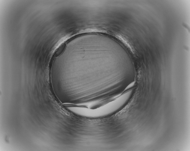 X0000095881173200802011037