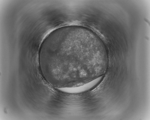 X0000095881174200802011037