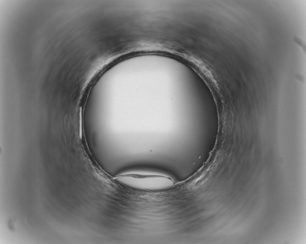 X0000095881175200802011037