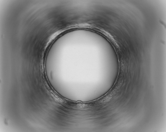 X0000095881176200802011037