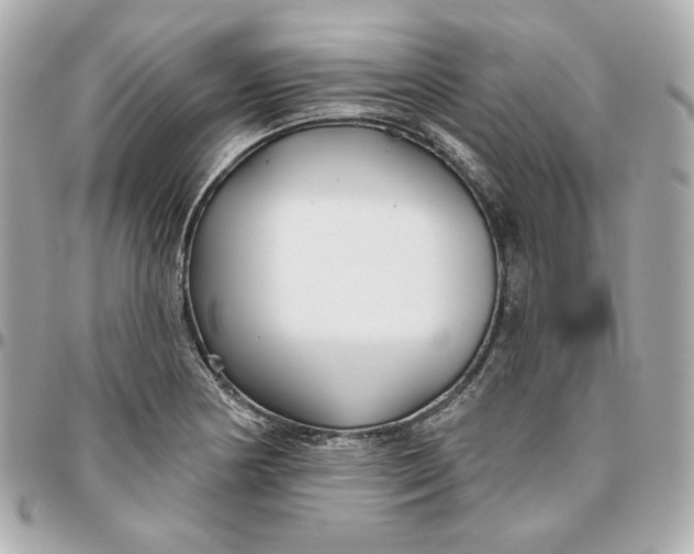 X0000095881178200802011037