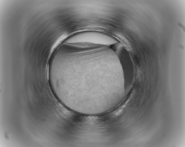 X0000095881180200802011037