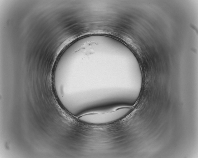 X0000095881181200802011037