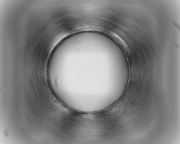 X0000095881182200802011037