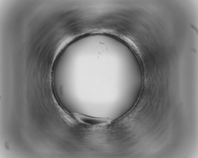 X0000095881183200802011037