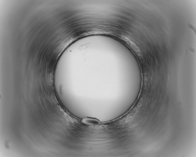 X0000095881185200802011037