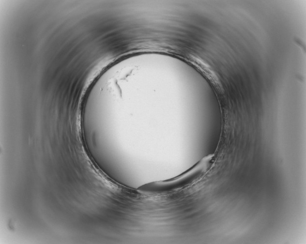 X0000095881188200802011037