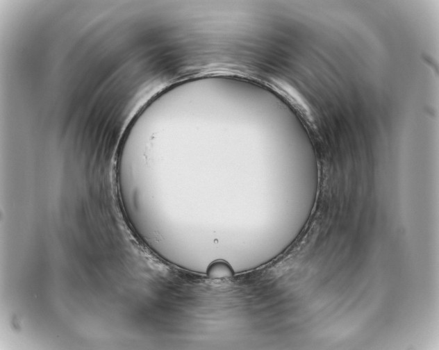 X0000095881190200802011037