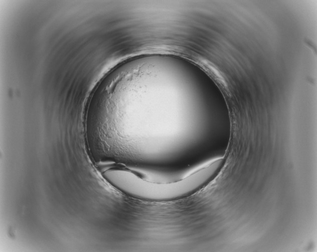 X0000095881192200802011037