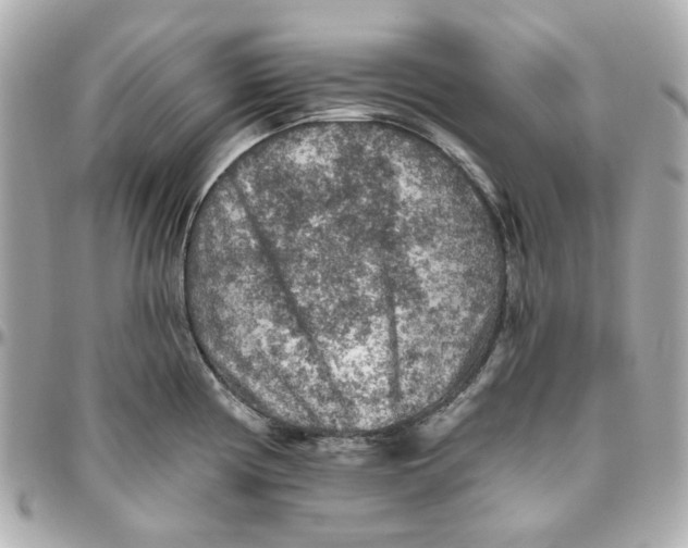 X0000095881194200802011037