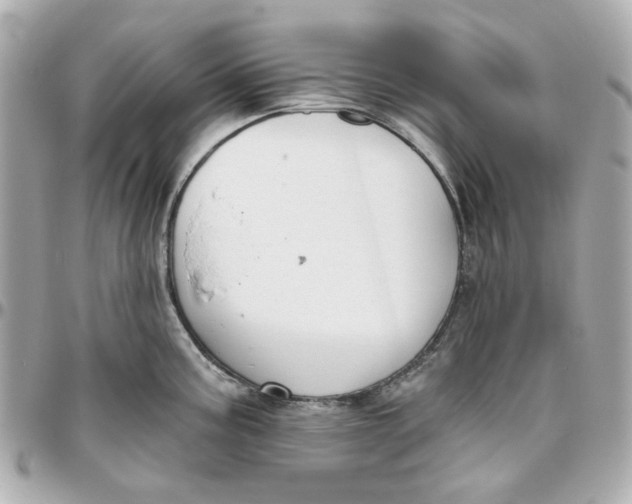 X0000095881195200802011037