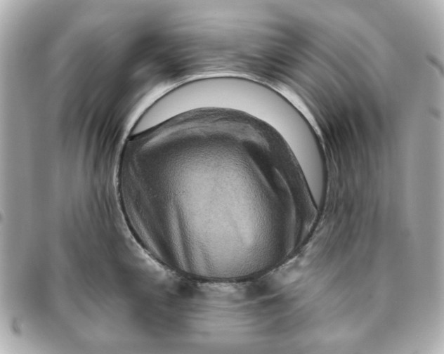 X0000095881197200802011037