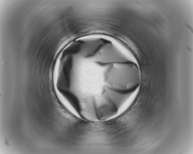 X0000095881198200802011037