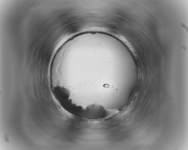 X0000095881199200802011037