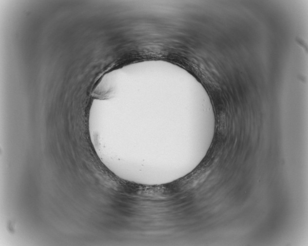 X0000095881201200802011036